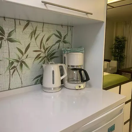 Near Vistas Apartment *